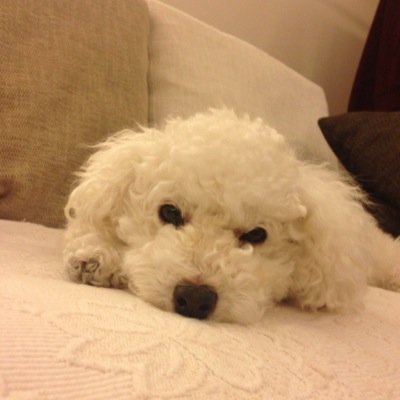 mrk_TOKI's profile picture. BUMP OF CHICKEN，マハーシャラ・アリが好きです。