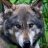 f047d481dc5f40e's profile image
