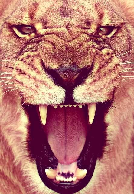 I'm here to speak my mind☺