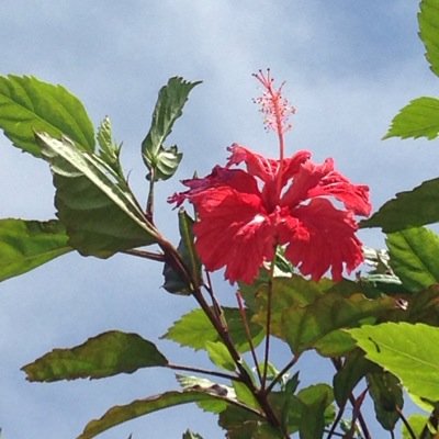 mizutamy's profile picture. 新アカウント。以前のログインできず(*꒦ິ⌓꒦ີ) 子どもと自然が大好き！ 2016.7.より世界放浪の旅に出発致しました〜^ ^世界各国の皆様どうぞよろしく☆