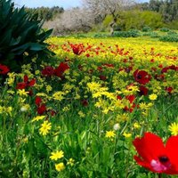 Ömer Emin ARIK (@omereminarik) Twitter profile photo