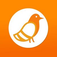 Pigeonhole Live (@pigeonholelive) 's Twitter Profile