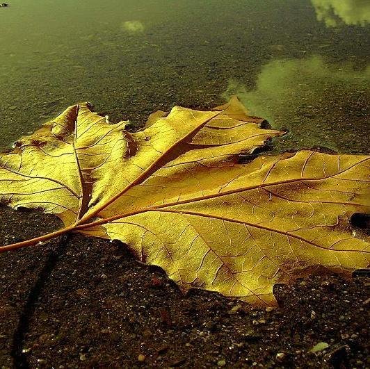 birhic12's profile picture. 