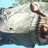 WESLEY1309's profile image