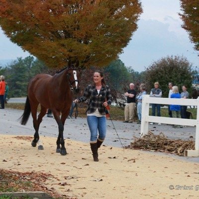 Chelsey Sawtell owner BlackFriar Farm Eventing