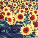 Vanessa Ong - @CrayoIa - Twitter