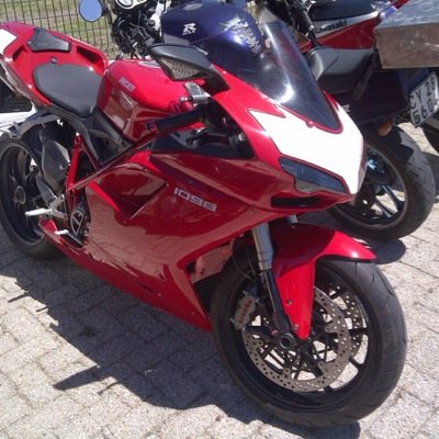 MichealMdoc1098's profile picture. The Great white shark