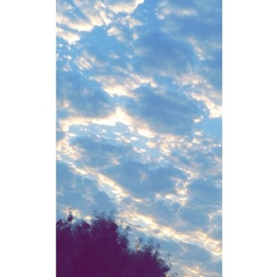 تبي توصل كلامك لشخص وماتبي يعرف منهو انت ارسلي الكلام بالدي ام مع اليوزر وبرسله لمه ✨.