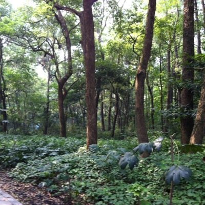 enjoysocialwork's profile picture. 