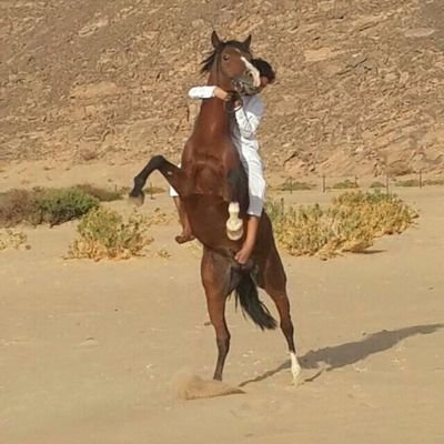 ‏اعشق الخيل ♡ومتذوق لشعر♡ ومشجع لفريق النصر