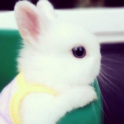 إنخلقنــآ عشــآن نبنـي لنــآ بيـت بالجنــة هذي خلاصـة حيــآتنا❤️