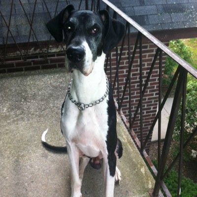 kalindberg1's profile picture. 