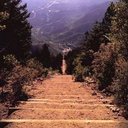 Chad Flanagan - @chadflanagan1 - Twitter