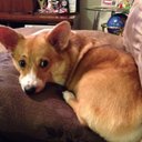 N Chandler - @rico27chan - Twitter