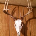 Aaron Herring - @aherring_17 - Twitter