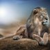 علي اليكسندر (@alialshashnee5) Twitter profile photo