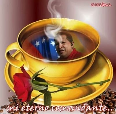 Abogada UCV. Revolucionaria y 1000% Chavista! AQUÍ NO SE HABLA MAL DE CHÁVEZ