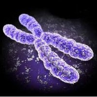 Oscar Sanz Mora (@osmbiotech) 's Twitter Profile