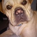 samanthabuckner - @SamBuckner98 - Twitter