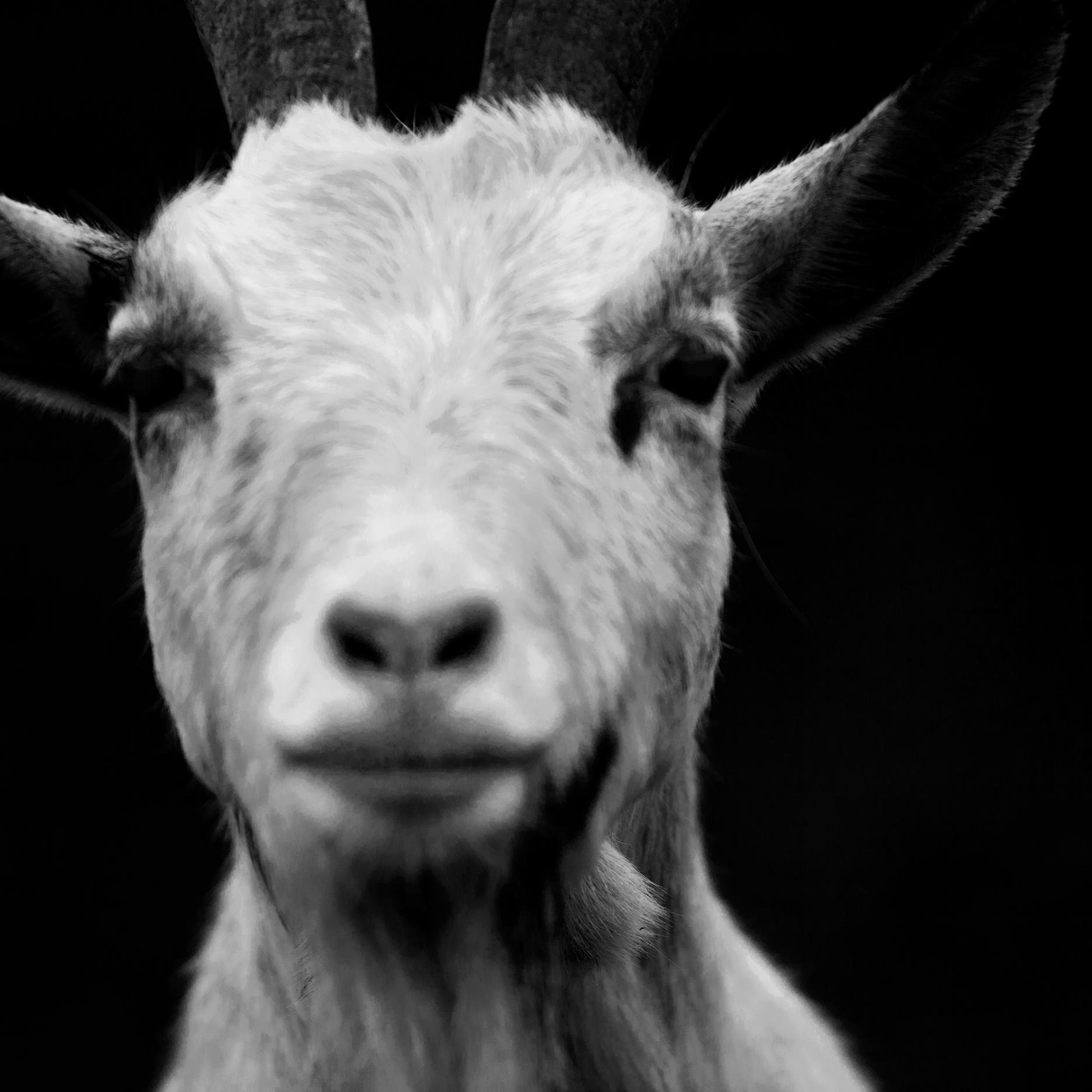 MimiCuriosity's profile picture. 