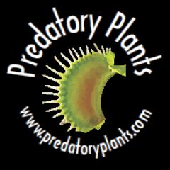 Carnivorous plant nursery specializing in Nepenthes, venus fly traps, Sarracenia, sundews, butterworts and more.