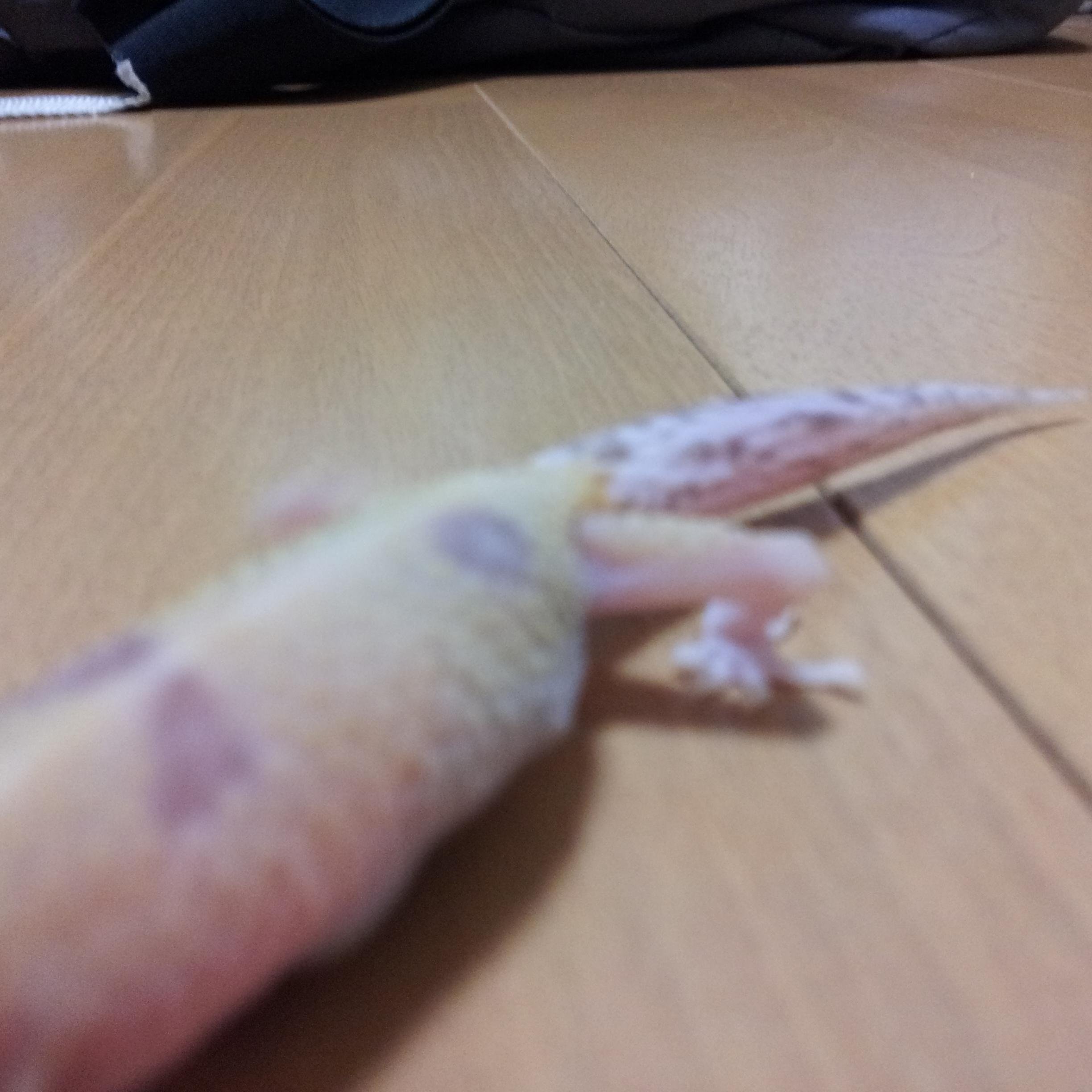 9/1からエロ禁/オナ禁します。目指せ2ヶ月！