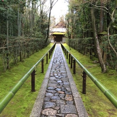 Twitterを始めたばかりで無知です 仲良くしてください。 無言フォローですいません
腐れ縁→@hfscizi6r6