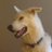 gerardboyle7's profile image