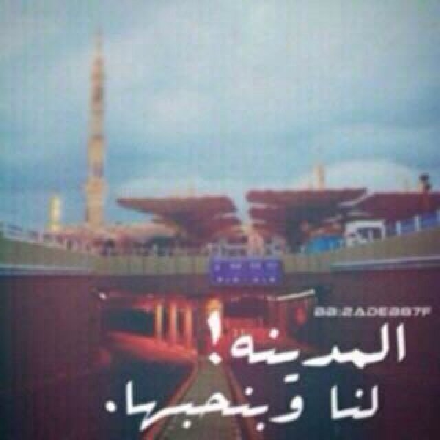 raedghj's profile picture. أضف نبذة تعريفيّة لملفك الشخصي