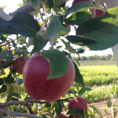 Silrico10's profile picture. Altruista, ecologista, amante de la naturaleza y promotora de México 🌵