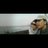 234sc_boy's profile image
