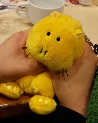 本女史学/軽音初心者ベース/気付いたら卒業してた/コミュ力に難あり