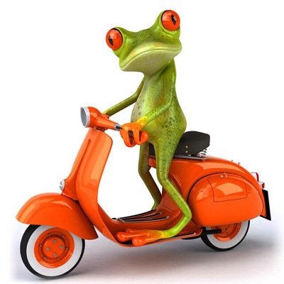 treefrog3869's profile picture. 