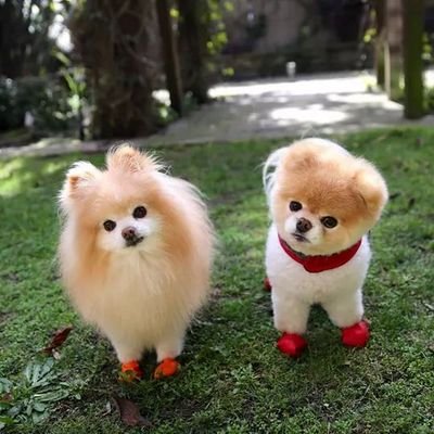 Kelvin93169016's profile picture. 