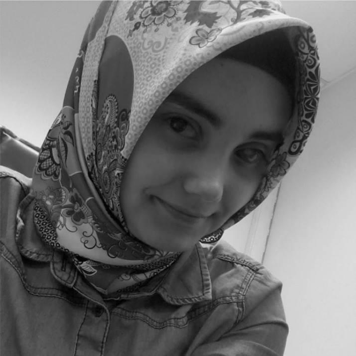 nerimangungor1's profile picture. s prediction system $BVT: