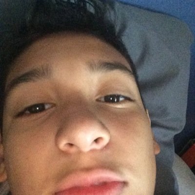 gmolinamendez's profile picture. 