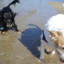 Mel Simon - @Mel_Simon - Twitter