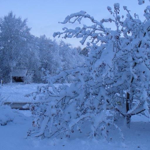 InaSmiltia's profile picture. 