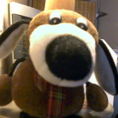 peltier0546's profile picture. Sénior attentif à l'actualité et au devenir de la France