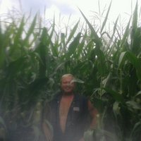 Haete Marks (@markavalley) 's Twitter Profile