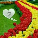 Aly-@/689; (@0552213809Com) Twitter