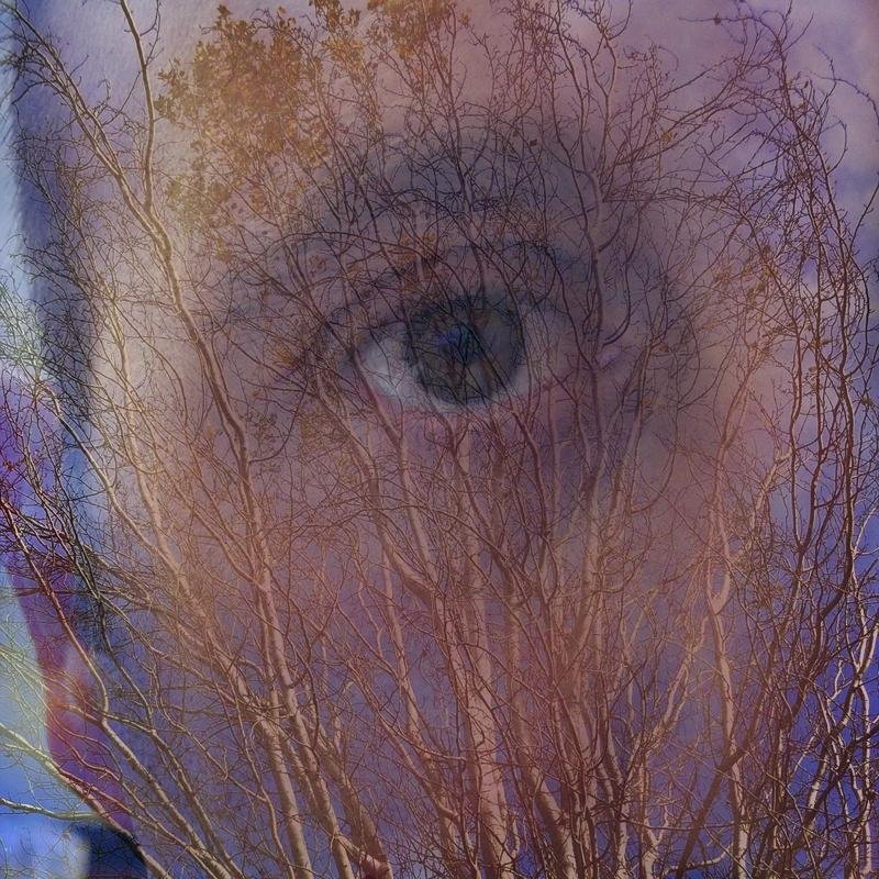 Non voglio sentirmi intelligente guardando dei cretini, voglio sentirmi cretino guardando persone eccellenti.