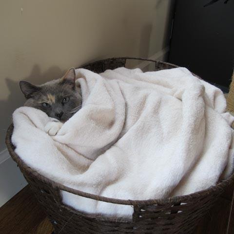 MelindaNaye's profile picture. CranioSacral Therapist