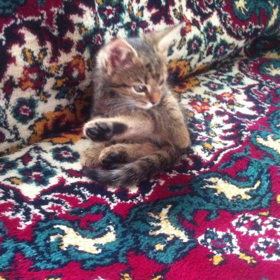 InnaKkk's profile picture. 