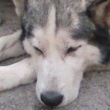 shopland07's profile picture. 