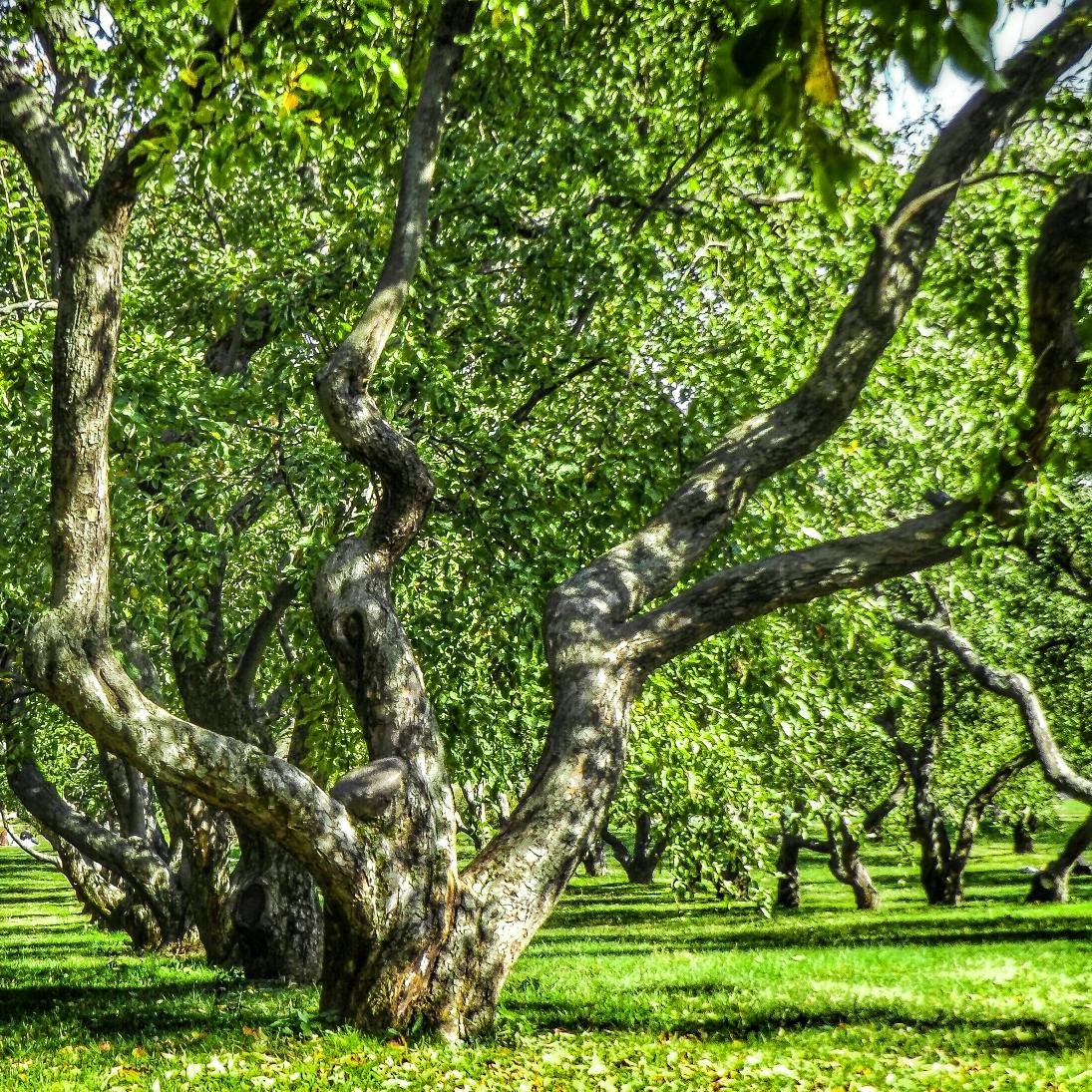 stranny8's profile picture. Немного странный. #взаимныйфолловинг #цепочкафолловеров