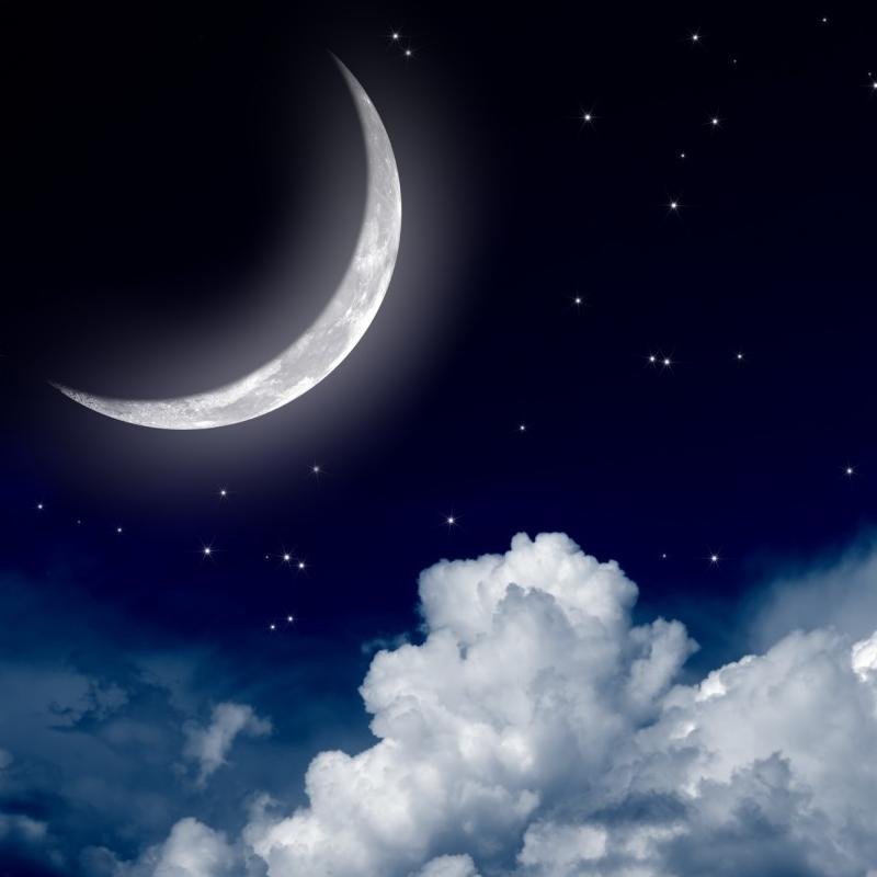 lunnayadolka's profile picture. Вдохновитель поэтов, мечтающих о звездном небе #цепочкафолловеров #взаимныйфолловинг