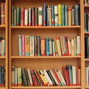 BreakntheGame's profile picture. 