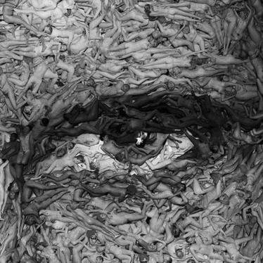 Made of compostable matter.