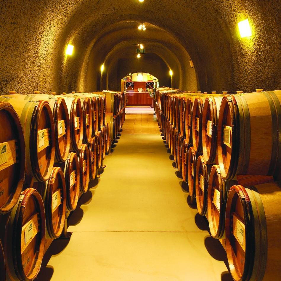 DiscoveringNapa's profile picture. Discovering Napa Valley